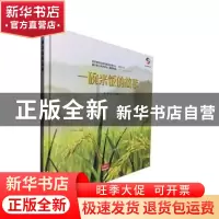 正版 一碗米饭的故事(精) 陈翠文 中国人口出版社 9787510163449