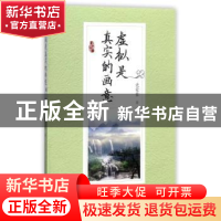 正版 虚拟是真实的画意 党蒙蒙著 黑龙江美术出版社社 9787519303