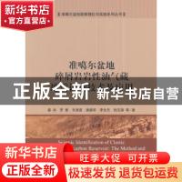 正版 准格尔盆地碎屑岩岩性油气藏地震识别技术及应用 娄兵 等 科