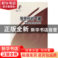 正版 致密砂岩气藏伤害机理与保护技术 张浩[等]编著 科学出版社