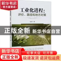 正版 工业化进程:评价、路径和地方对策:evaluation, paths and l
