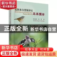 正版 宽阔水自然保护区鸟巢图鉴 杨灿朝,梁伟著 科学出版社 9787