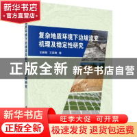 正版 复杂地质环境下边坡流变机理及稳定性研究 王新刚,王家鼎著