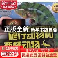 正版 AR亲子互动百科系列:爬行动物和两栖动物 Alzzam Education