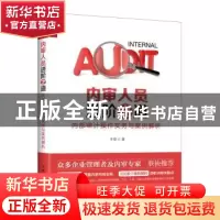 正版 内审人员进阶之道:内部审计操作实务与案例解析 牛恺 人民邮