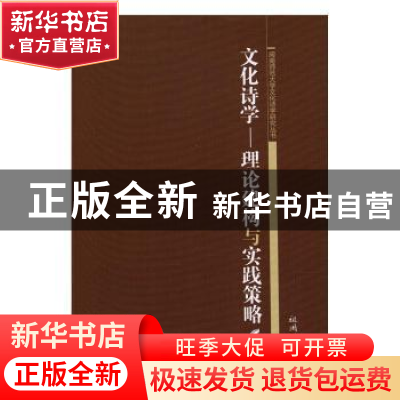 正版 文化诗学:理论建构与实践策略 祖国颂 中国社会科学 9787516