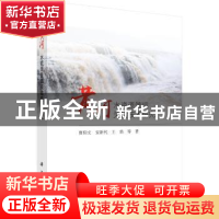 正版 黄河水资源管理关键技术研究 贾仰文,安新代,王浩等著 科