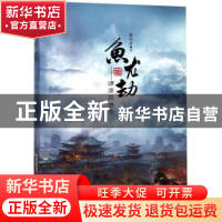 正版 鱼龙劫:靖康英雄传 蔡竹青 安徽文艺出版社 9787539661919