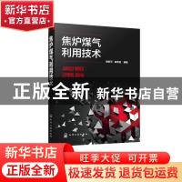 正版 焦炉煤气利用技术 杨跃平,阎承信 化学工业出版社 978712238