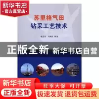 正版 苏里格气田钻采工艺技术 赵喜民,王振嘉 著 石油工业出版社