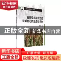 正版 甜高粱苗期对苏打盐碱胁迫的适应性机制 戴凌燕著 科学出版