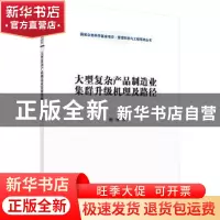 正版 大型复杂产品制造业集群升级机理及路径 杨瑾著 科学出版社