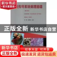 正版 心脏传导系统病理图谱:普及版 宋一璇,姚青松主编 广东科技