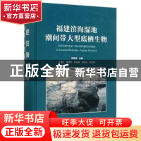 正版 福建滨海湿地潮间带大型底栖生物 李荣冠主编 海洋出版社 97