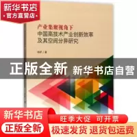 正版 产业集聚视角下中国高技术产业创新效率及其空间分异研究 徐
