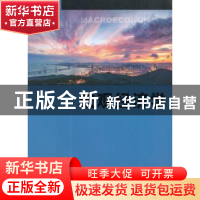 正版 宏观经济学 谢玉梅,浦徐进,王敏琴主编 格致出版社 978754
