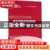 正版 电力系统中电磁现象和电能质量标准 林海雪编著 中国电力出