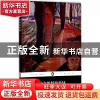 正版 少年维特的烦恼 (德)歌德著 人民文学出版社 9787020130030
