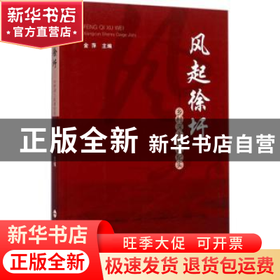 正版 风起徐圩:乡村深入改革纪实 金萍主编 合肥工业大学出版社