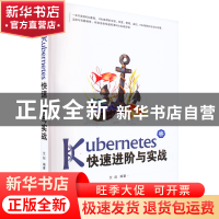 正版 Kubernetes快速进阶与实战 艾叔 机械工业出版社 9787111718