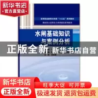 正版 水闸基础知识与案例分析 王晶主编 中国水利水电出版社 9787