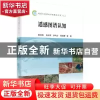 正版 遥感大数据地学理解与计算:上:遥感图谱认知 骆剑承等著 科
