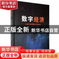 正版 数字经济:从数字到智慧的升级路径 严谨 九州出版社 9787522