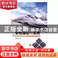正版 安检理论与实务 王岩主编 航空工业出版社 9787516518694 书