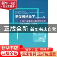 正版 新发展格局下中国产业集群质量升级困境及其突破路径研究 肖