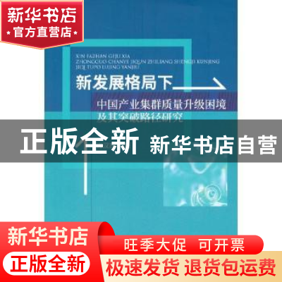 正版 新发展格局下中国产业集群质量升级困境及其突破路径研究 肖