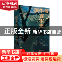 正版 顶牛爷百岁史 凡一平著 广西师范大学出版社 9787559843128