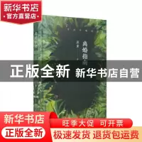正版 离婚指南(软精装) 苏童著 人民文学出版社 9787020142200 书