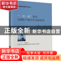 正版 一带一路倡议与国际产能合作风险研究 孙泽生等著 中国财政