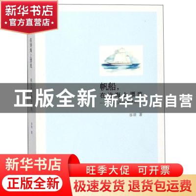 正版 帆船,在诗海上漂流:俄汉诗歌翻译研究 谷羽著 南开大学出