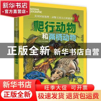 正版 爬行动物和两栖动物 (英)吉尼·约翰逊著 安徽少年儿童出版社