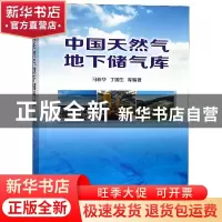 正版 中国天然气地下储气库 马新华,丁国生等编著 石油工业出版