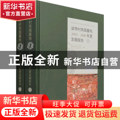 正版 梁带村芮国墓地:2005、2006年度发掘报告 陕西省考古研究院,