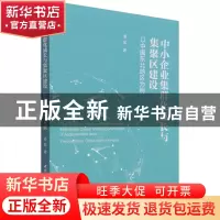 正版 中小企业集群化成长与集聚区建设:以中国东北地区为例:the N