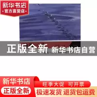 正版 诗遇三沙:“我为三沙写首诗”优秀作品集 肖杰 江苏凤凰文艺