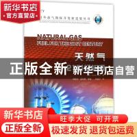 正版 天然气:21世纪能源 (美)Vaclav Smil著 石油工业出版社 9787