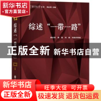 正版 综述“一带一路” 胡必亮等编 中国大百科全书出版社 978752