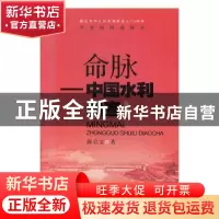 正版 命脉:中国水利调查 陈启文 安徽文艺出版社 9787539665429
