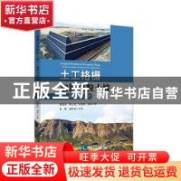 正版 土工格栅加筋粗粒土坡——机理及应用 胡幼常 等 著 知识产