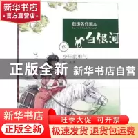 正版 白银河:贰:少年的勇气 薛涛 辽宁少年儿童出版社 9787531577