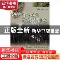 正版 高产脂马尾松遗传育种研究 何波祥,蔡燕灵主编 广东科技出
