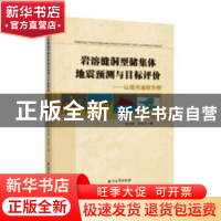 正版 岩溶缝洞型储集体地震预测与目标评价:以塔河油田为例 漆立