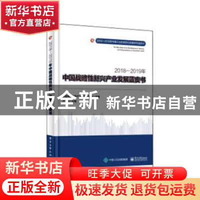 正版 2018-2019年中国战略性新兴产业发展蓝皮书 卢山主编 电子工