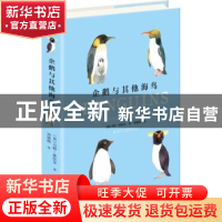 正版 企鹅与其他海鸟 (英)马特·休厄尔(Matt Sewell)著 湖南美术