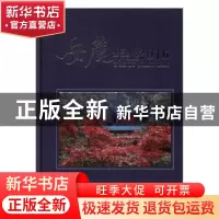 正版 岳麓年鉴2016 长沙市岳麓区史志档案局编 方志出版社 978751