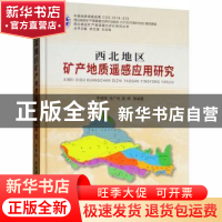 正版 西北地区矿产地质遥感应用研究 李健强,任广利,高婷等编著
